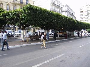 ORAN JUIN 2007 LE CENTRE VILLE